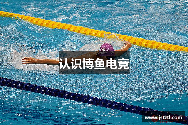 認(rèn)識(shí)博鱼电竞